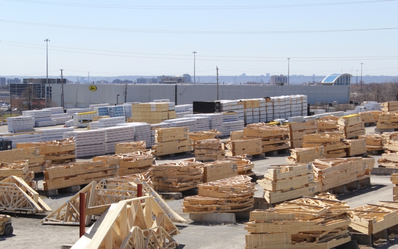 Our yard